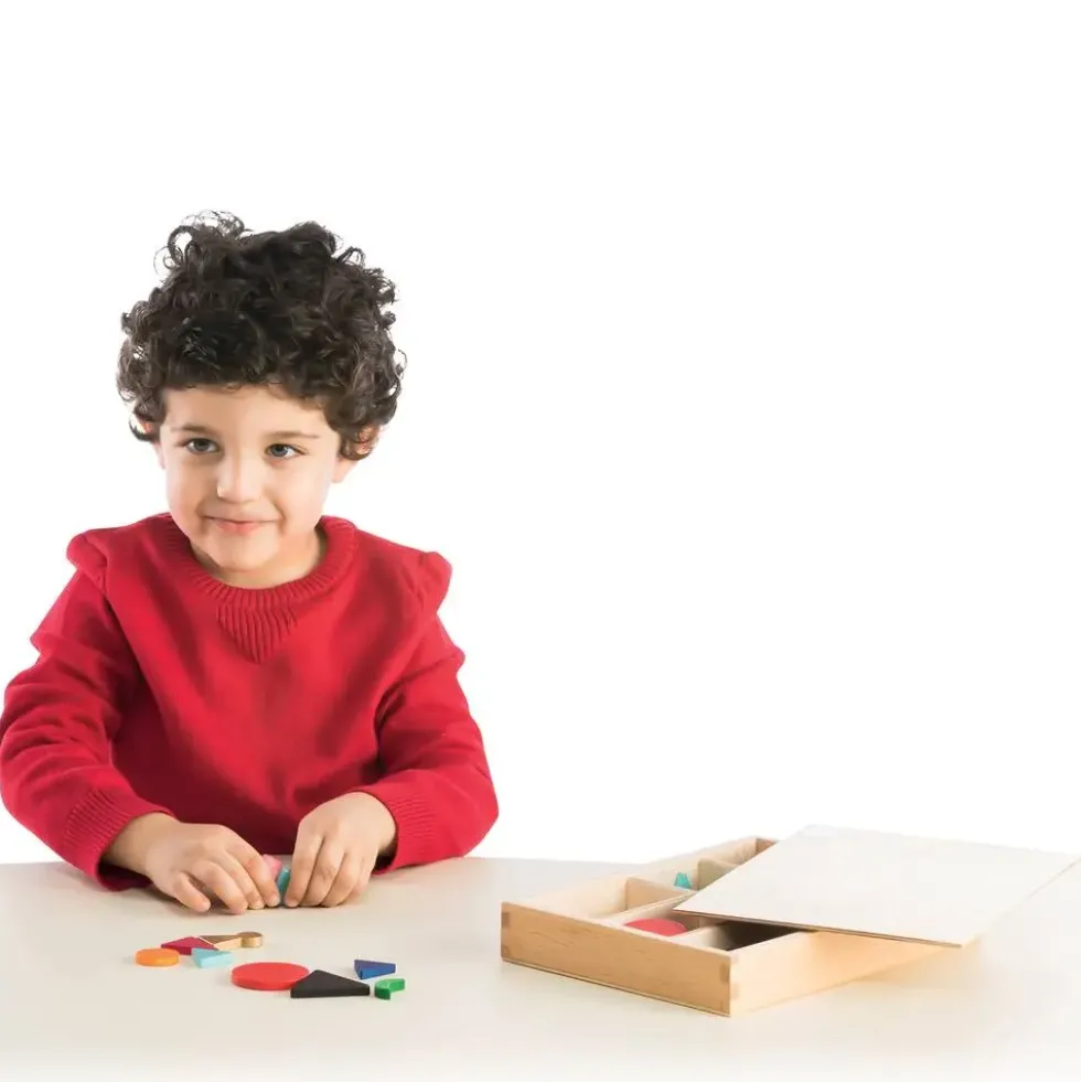 INITIATION A LA GRAMMAIRE SYSTEME MONTESSORI