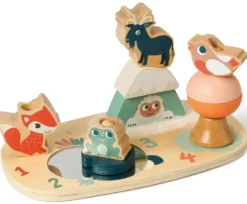 JEU D'EMPILAGE DE LA MONTAGNE MAGIQUE