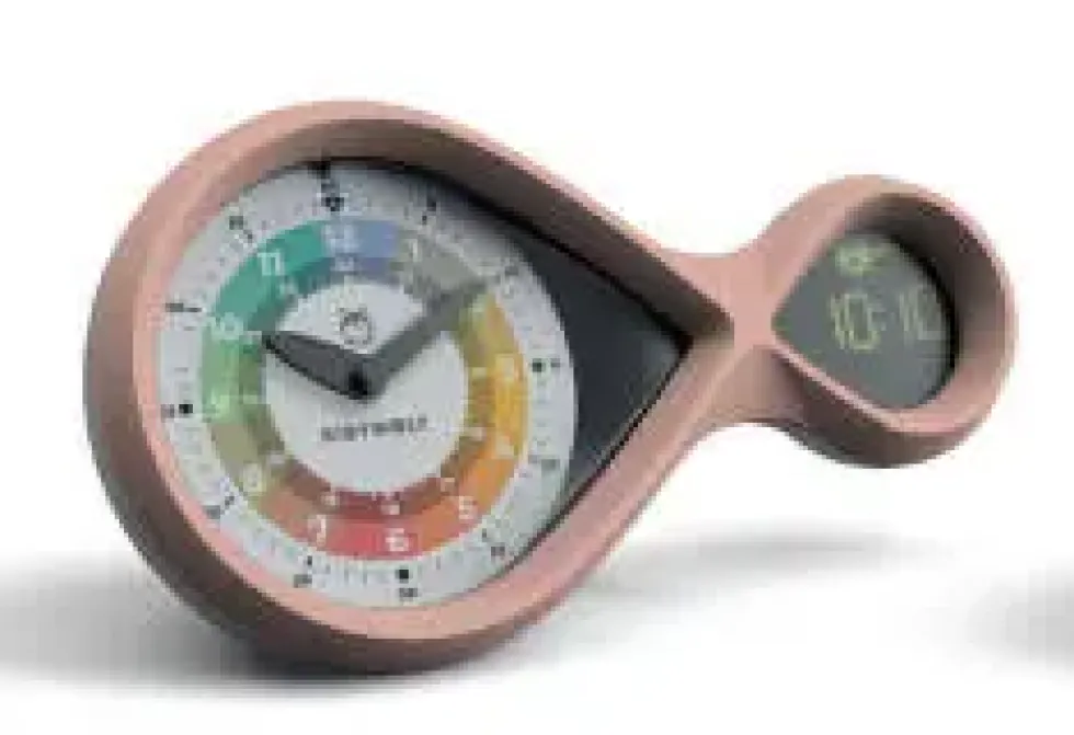 KIDYALARM - REVEIL EVOLUTIF EDUCATIF - BRONZE