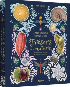 L'ANTHOLOGIE INSOLITE DES TRESORS DE LA NATURE : ROCHES, NID