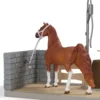 LAVAGE DE CHEVAUX DE SOFIA