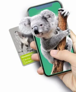 LES ANIMAUX DE LA PLANETE TERRE - REALITE VIRTUELLE