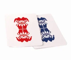 LES CARTES MAGIQUES