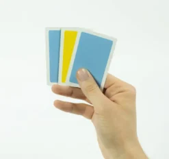 LES CARTES MAGIQUES