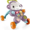LE TROTTEUR DU SINGE VIOLET