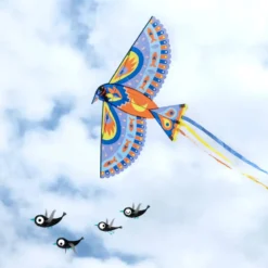 MAXI BIRD