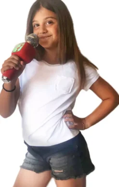 MICRO SANS FIL AVEC HAUT PARLEUR POUR CHANTER EN DUO