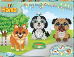 MIDI BOITE MODELE MOYEN LE RÉGAL DES CHIENS