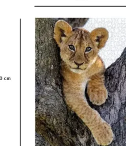 NATHAN PUZZLE 1000 PIECES - LIONCEAU DU DESERT