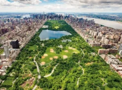 NATHAN PUZZLE 500 PIECESVUE SUR CENTRAL PARK