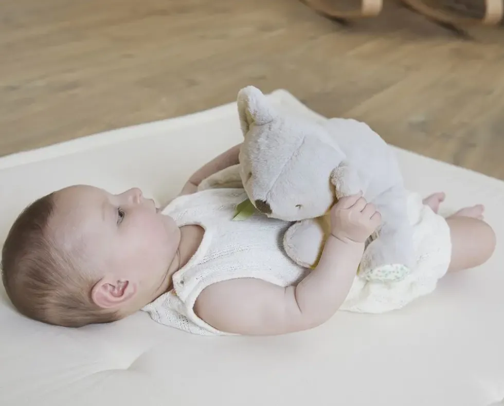 PELUCHE LESTE KOALA