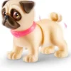 PETS ALIVE - CHIOTS BOOTY SHAKIN PUPS