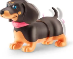 PETS ALIVE - CHIOTS BOOTY SHAKIN PUPS