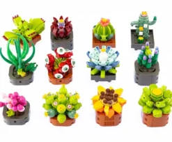 PLANTE EXOTIQUE A CONSTUIRE
