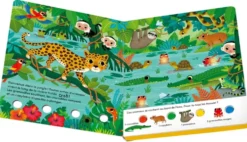 PLAY + CHERCHE ET BRILLE: DANS LA JUNGLE