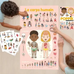 POPPIK DISCOVERY - POSTER A STICKER - LE CORPS HUMAIN