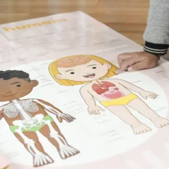 POPPIK DISCOVERY - POSTER A STICKER - LE CORPS HUMAIN