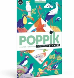 POPPIK DISCOVERY - POSTER A STICKER - OISEAUX