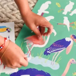 POPPIK DISCOVERY - POSTER A STICKER - OISEAUX
