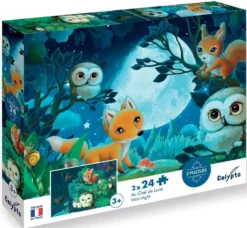 PUZZLE AU CLAIR DE LUNE 24 PIECES X2