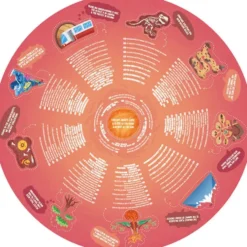 PUZZLE CIRCULAIRE CENTRE DE LA TERRE