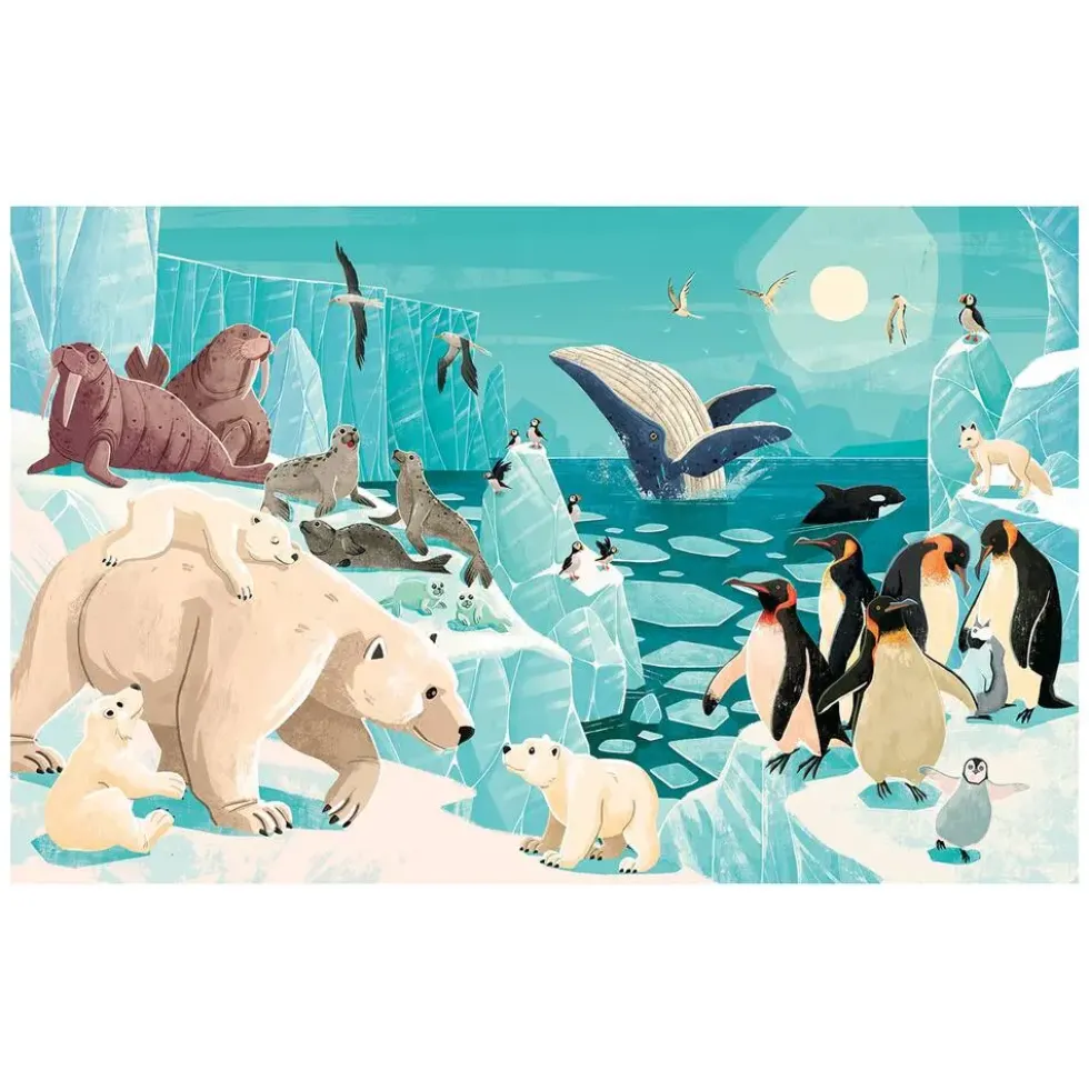 PUZZLE LA PLANETE EN DANGER 220 PIECES + LIVRE - LES GLACES