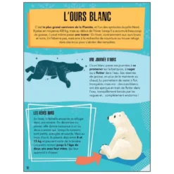 PUZZLE LA PLANETE EN DANGER 220 PIECES + LIVRE - LES GLACES