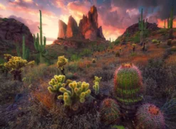 PUZZLE 500 PIECES CACTUS ET EPINES