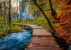 PUZZLE 1000 PIECES - CHEMIN BOISE D’AUTOMNE