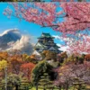 PUZZLE 2000 PIECES - CHÂTEAU D'OSAKA - JAPON