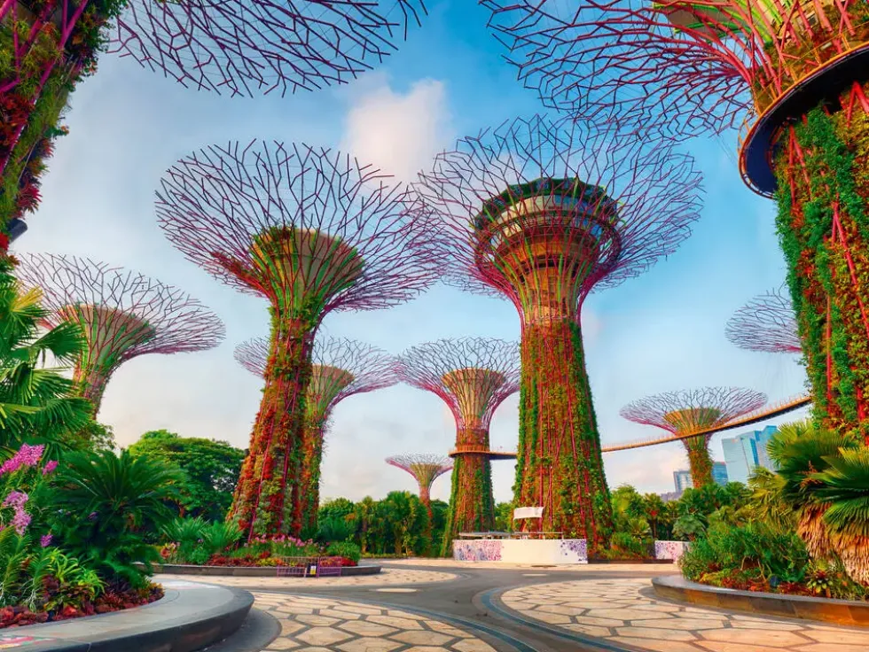 PUZZLE 1500 PIECESJARDIN DE LA BAIE DE SINGAPOUR
