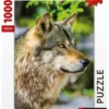 PUZZLE 1000 PIECES - LOUP GRIS EUROPEEN
