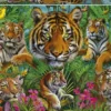 PUZZLE 500 PIECESTIGRES