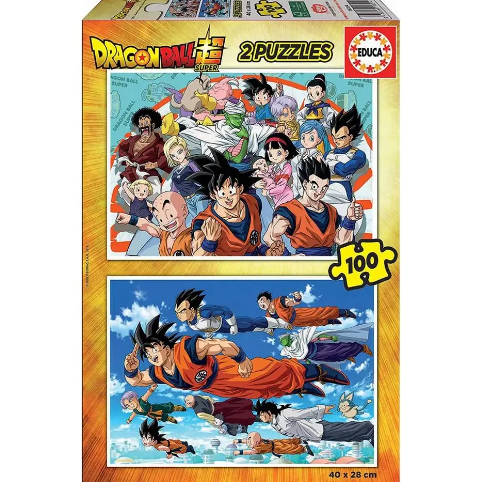 PUZZLE 2x100 DRAGON BALL