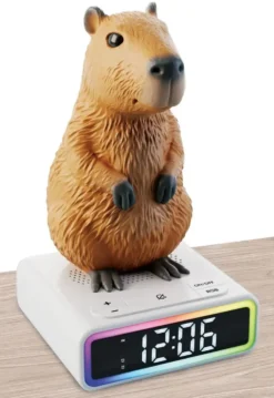 RAINY DAYS CAPYBARA – REVEIL DIGITAL LUMINEUX