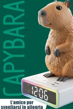 RAINY DAYS CAPYBARA – REVEIL DIGITAL LUMINEUX