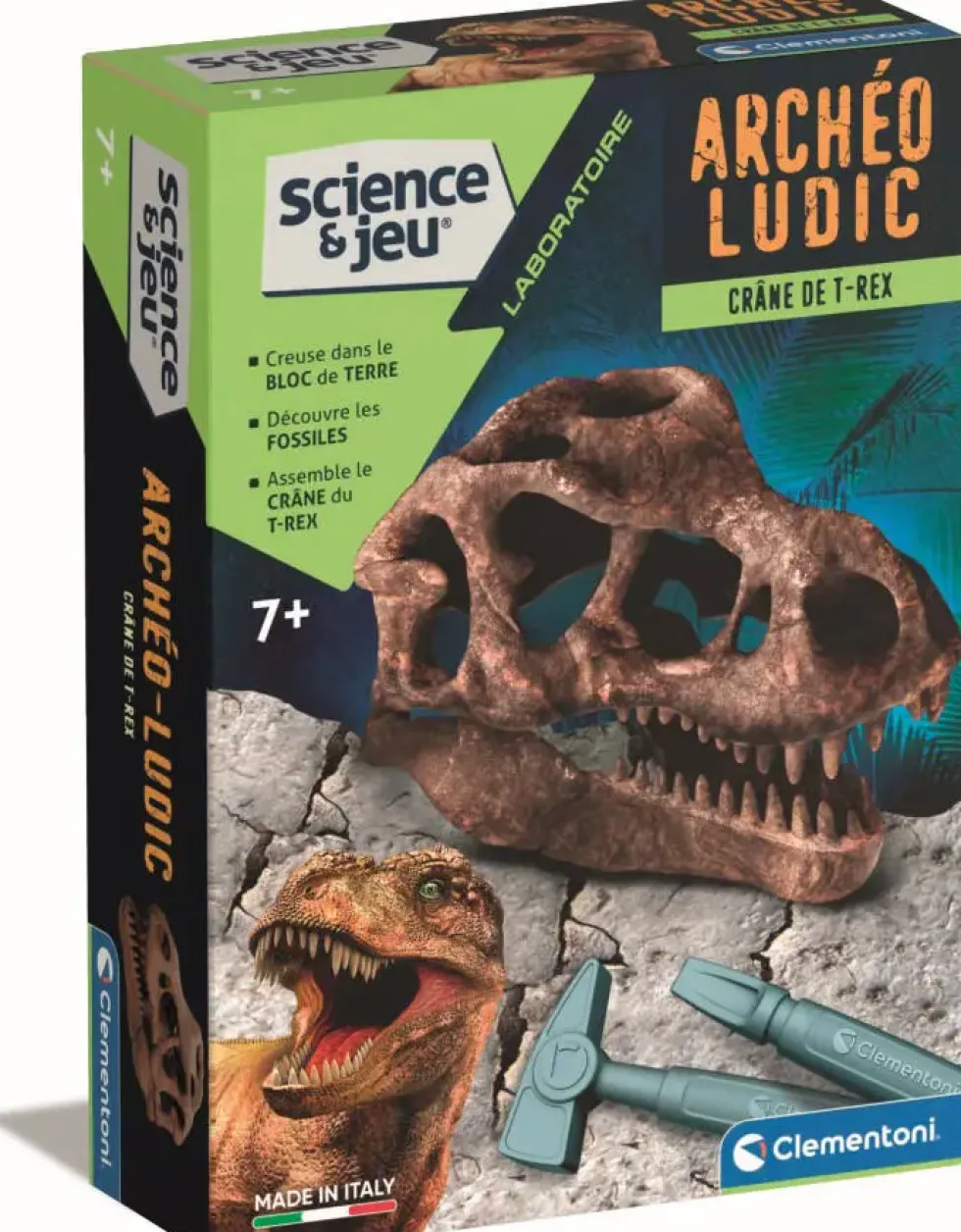 SCIENCE & JEU - ARCHEO LUDIC - CRANE DE T-REX