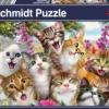 SELFIE DE CHATS, 500 PCS