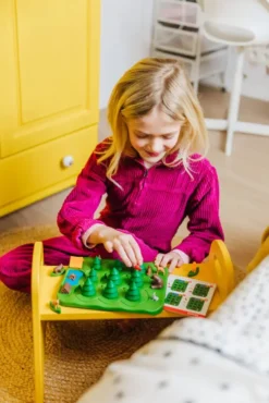 SMARTGAMES - PARC'OURS EN FORET