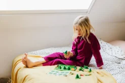 SMARTGAMES - PARC'OURS EN FORET