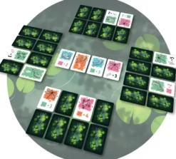 SYMBIOSE