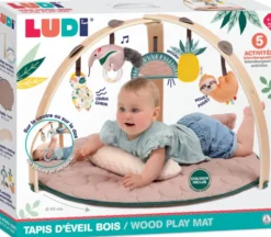 TAPIS ARCHE BOIS