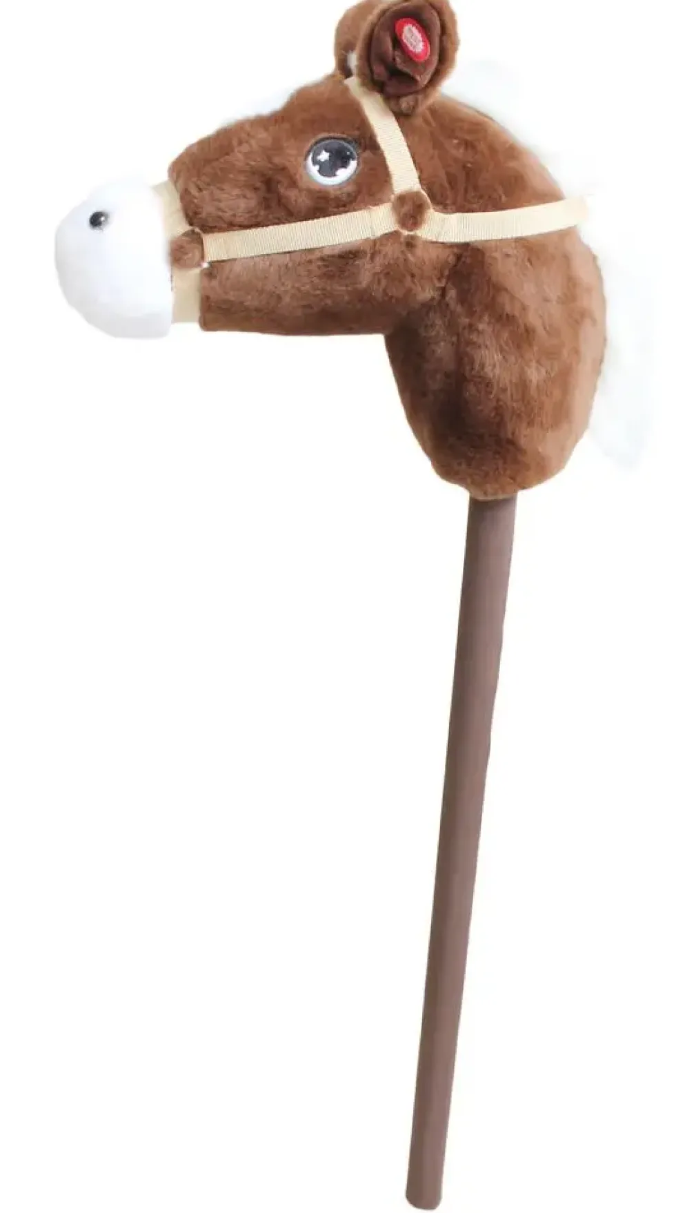 TETE DE CHEVAL