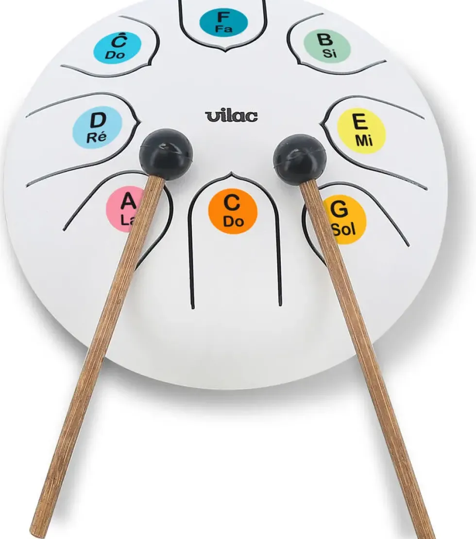 TONGUE DRUM- TAMBOUR A LANGUES XYLOPHONE