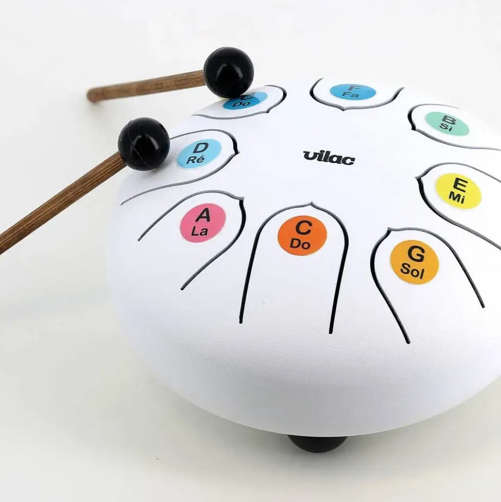 TONGUE DRUM- TAMBOUR A LANGUES XYLOPHONE