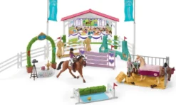 TOURNOI EQUESTRE ENTRE AMIS