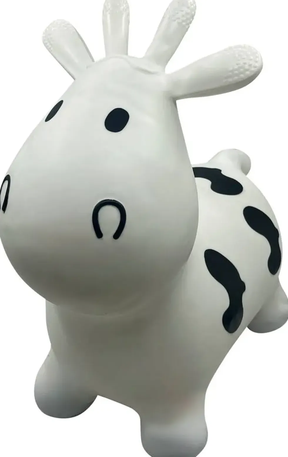VACHE SAUTEUSE