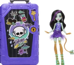 VALISE SECRETE JINAFIRE